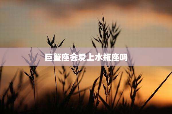 巨蟹座会爱上水瓶座吗
