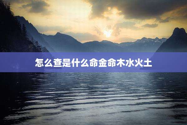 怎么查是什么命金命木水火土