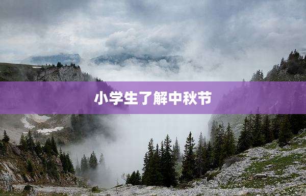 小学生了解中秋节
