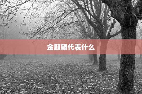 金麒麟代表什么