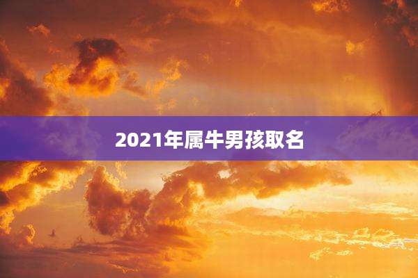 2021年属牛男孩取名