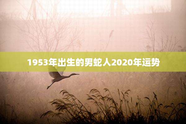 1953年出生的男蛇人2020年运势
