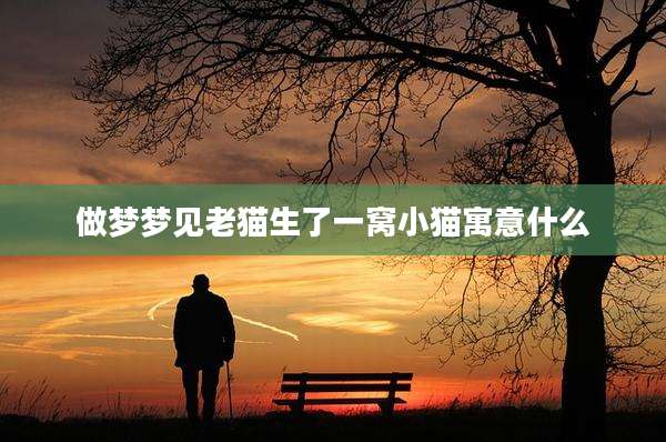 做梦梦见老猫生了一窝小猫寓意什么