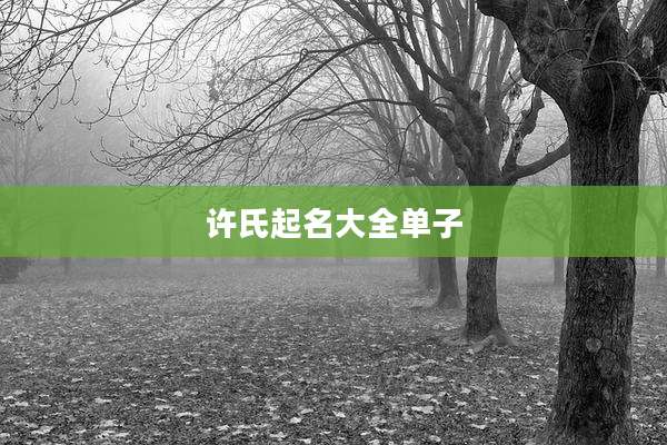 许氏起名大全单子