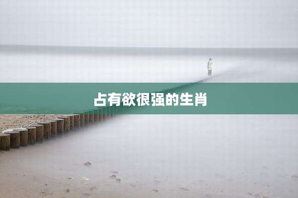 占有欲很强的生肖