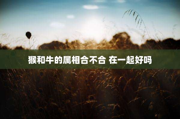 猴和牛的属相合不合 在一起好吗