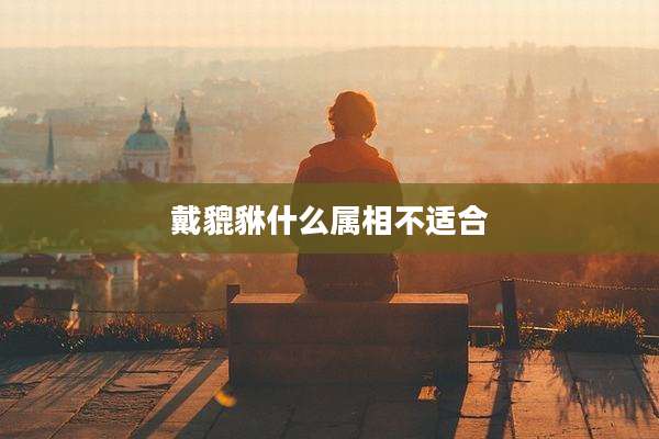 戴貔貅什么属相不适合