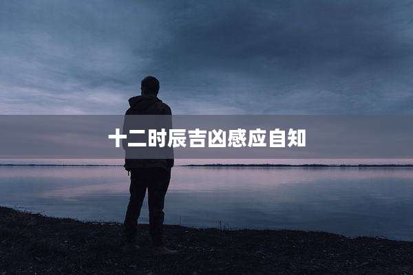 十二时辰吉凶感应自知