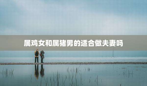 属鸡女和属猪男的适合做夫妻吗