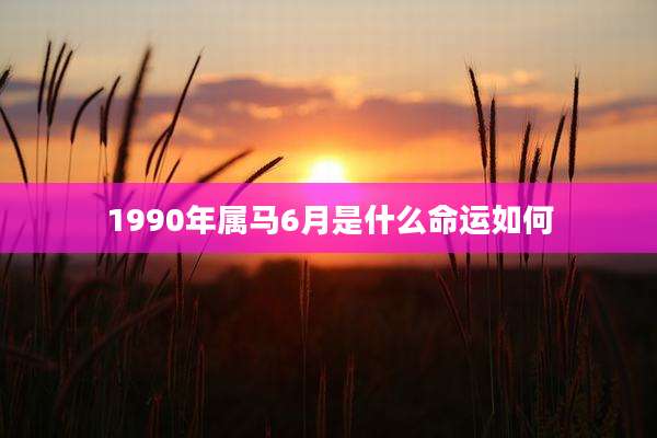 1990年属马6月是什么命运如何