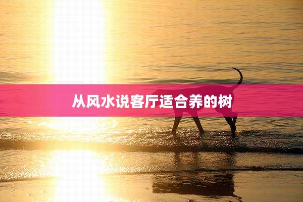 从风水说客厅适合养的树