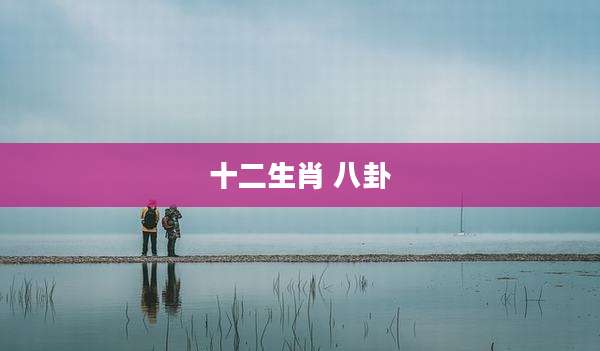 十二生肖 八卦