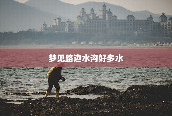梦见路边水沟好多水