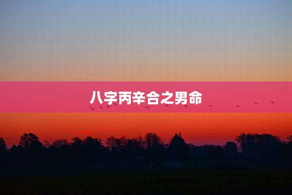 八字丙辛合之男命