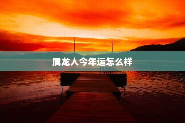 属龙人今年运怎么样