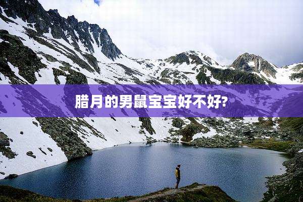 腊月的男鼠宝宝好不好?