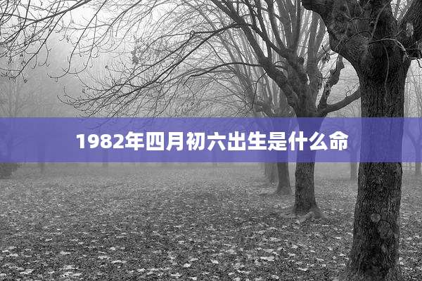 1982年四月初六出生是什么命