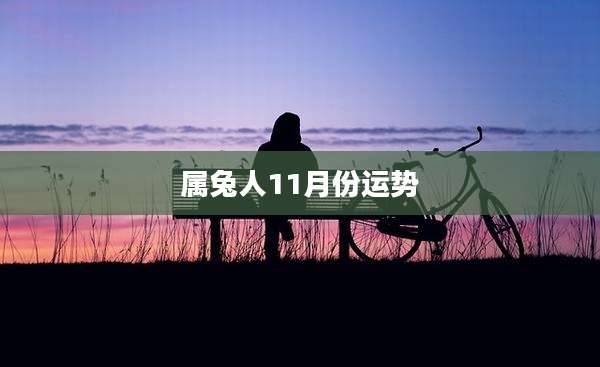 属兔人11月份运势