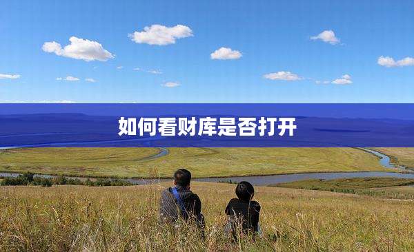 如何看财库是否打开