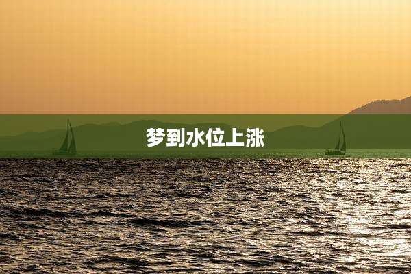 梦到水位上涨