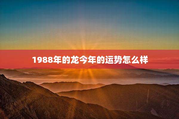 1988年的龙今年的运势怎么样