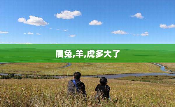 属兔,羊,虎多大了