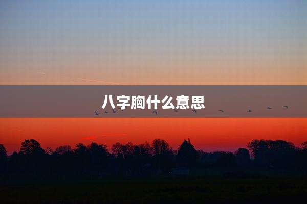 八字胸什么意思
