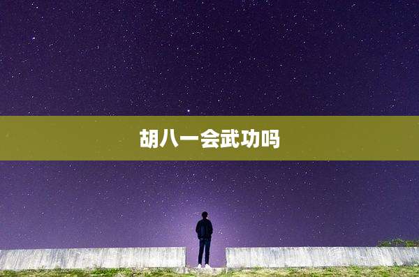 胡八一会武功吗