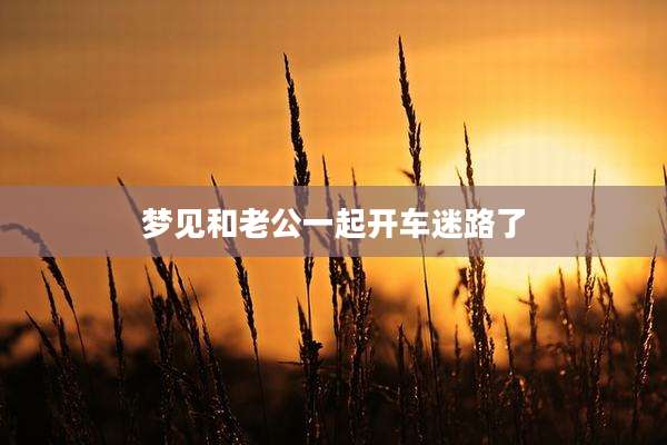 梦见和老公一起开车迷路了