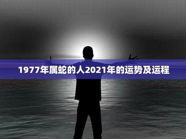 1977年属蛇的人2021年的运势及运程