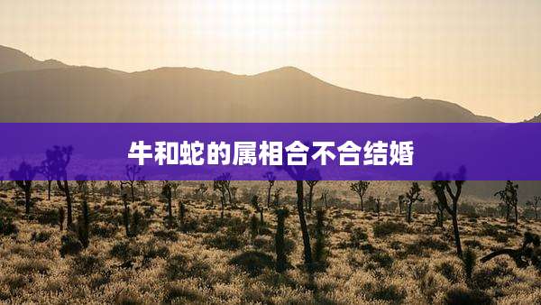 牛和蛇的属相合不合结婚