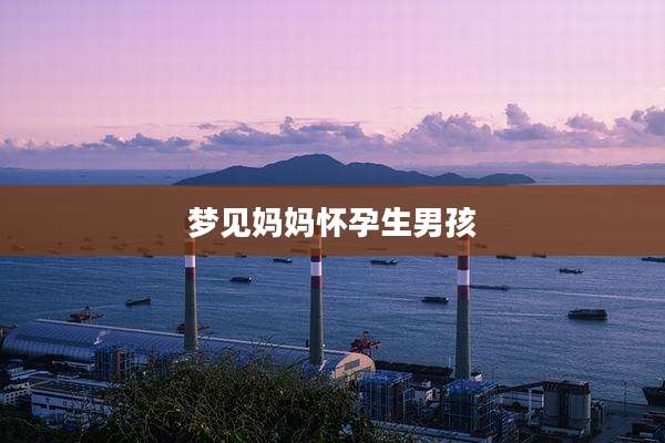 梦见妈妈怀孕生男孩