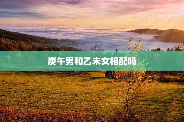 庚午男和乙未女相配吗