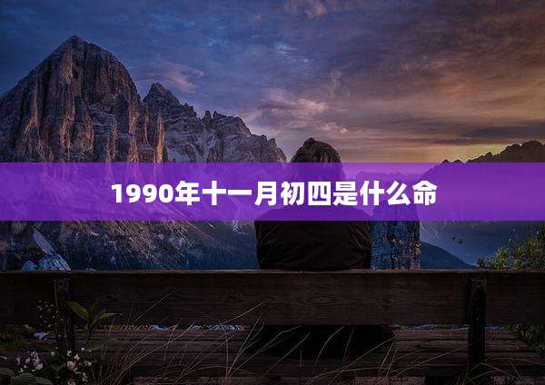 1990年十一月初四是什么命