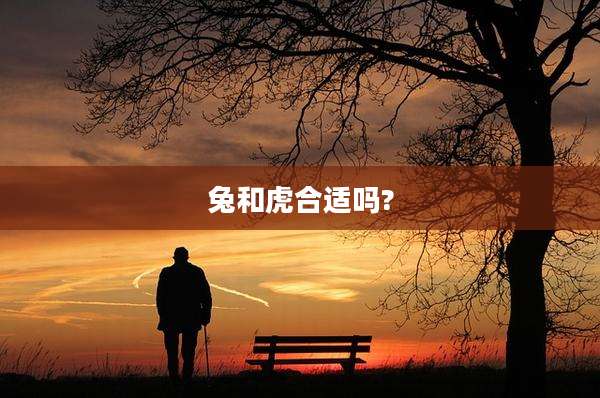 兔和虎合适吗?