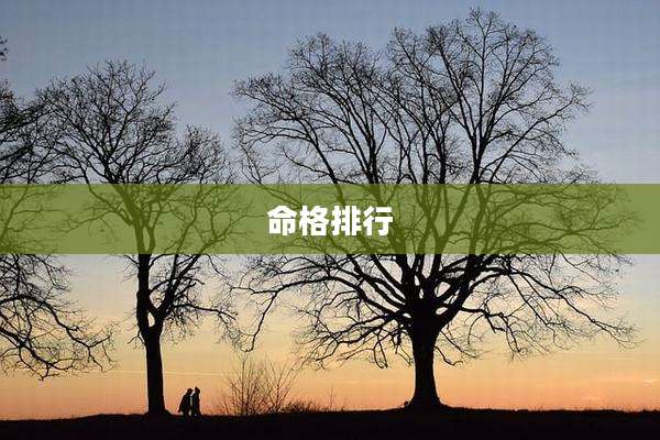 命格排行