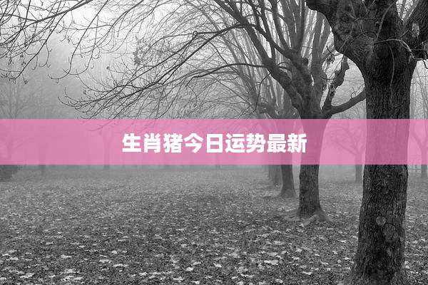 生肖猪今日运势最新