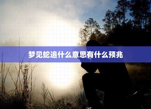 梦见蛇追什么意思有什么预兆
