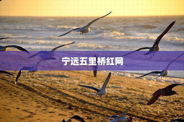 宁远五里桥红网