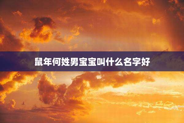 鼠年何姓男宝宝叫什么名字好