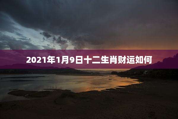 2021年1月9日十二生肖财运如何