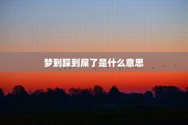 梦到踩到屎了是什么意思