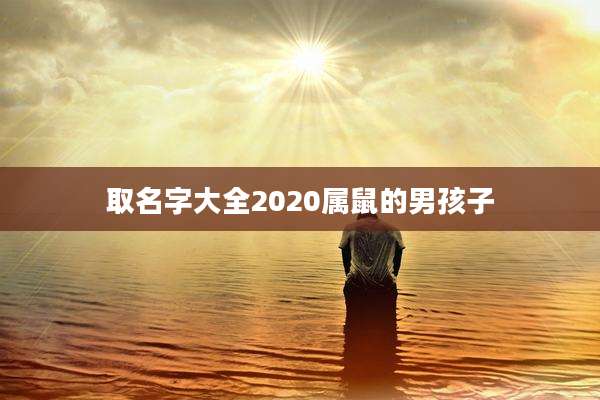 取名字大全2020属鼠的男孩子