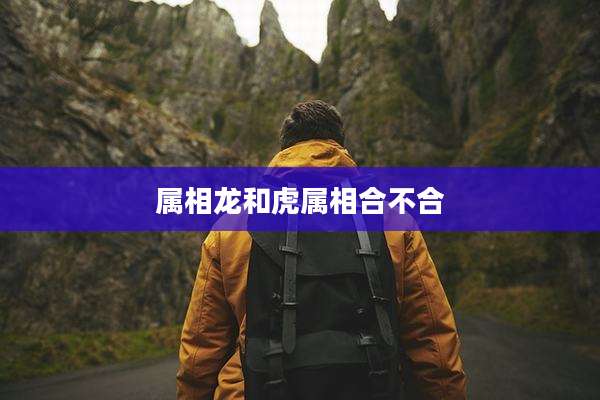 属相龙和虎属相合不合