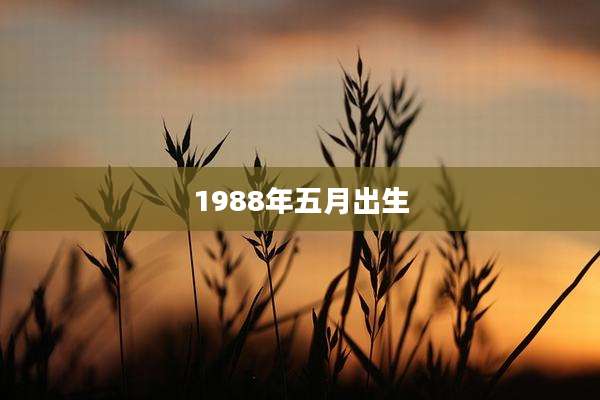 1988年五月出生