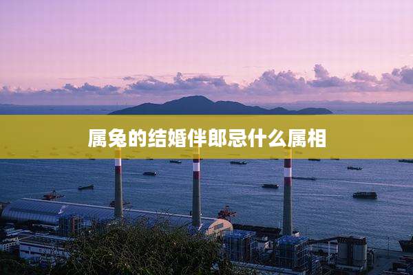 属兔的结婚伴郎忌什么属相