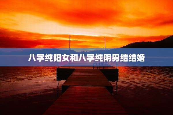 八字纯阳女和八字纯阴男结结婚