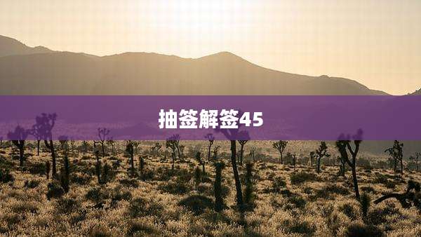 抽签解签45