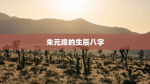 朱元璋的生辰八字