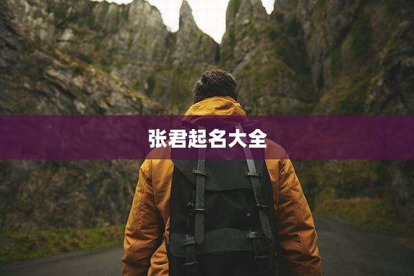 张君起名大全